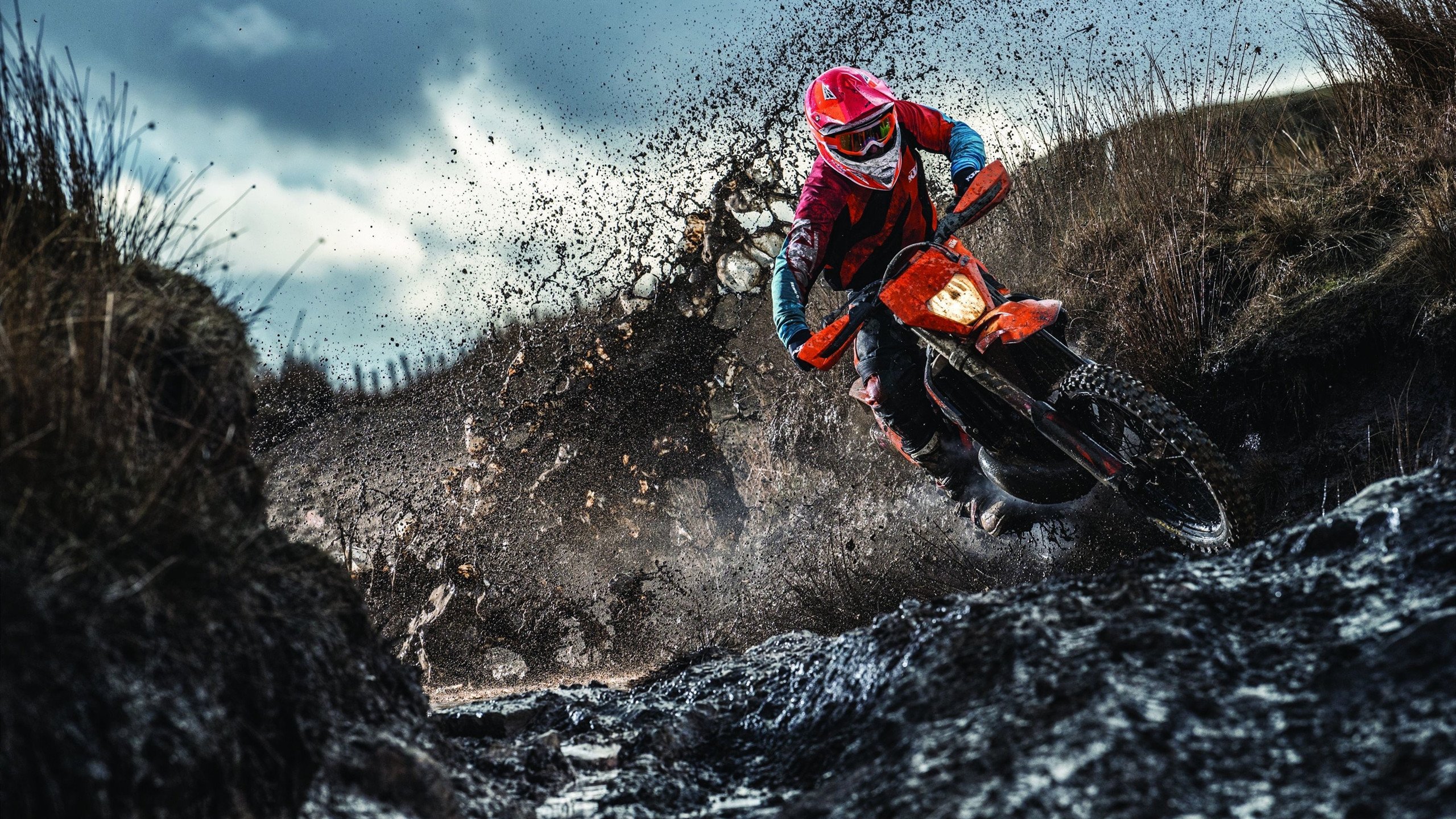 kaiyun 开云体育-科洛·穆瓦尼加盟拜仁慕尼黑，穆科科转会费